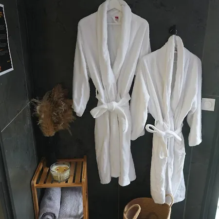 Cozy Loft With Sauna And Hot Tub * Sarcelles
